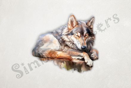 Wolf sleeping, watercolour