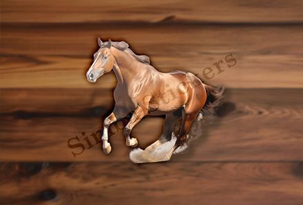 Brown horse , kicking up dust