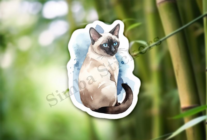 Siamese cat sitting, watercolour