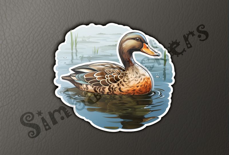 Male duck floating in a pond