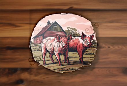 Two pigs on a farm