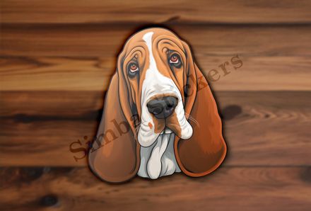 Basset Hound dog