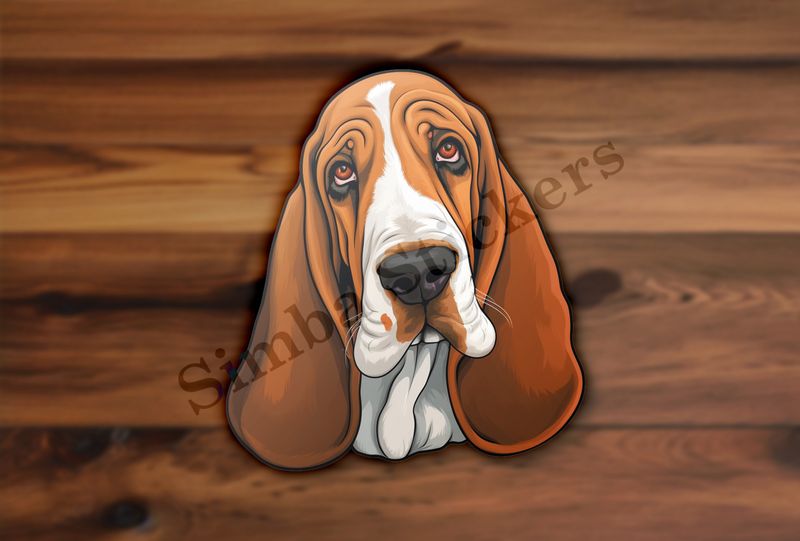 Basset Hound dog
