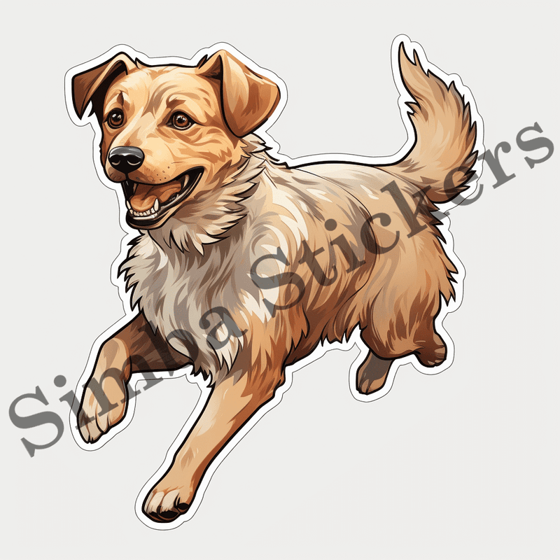 Dog running, image set, 10 images