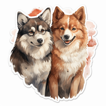 Akita dogs in love, image set, 10 images
