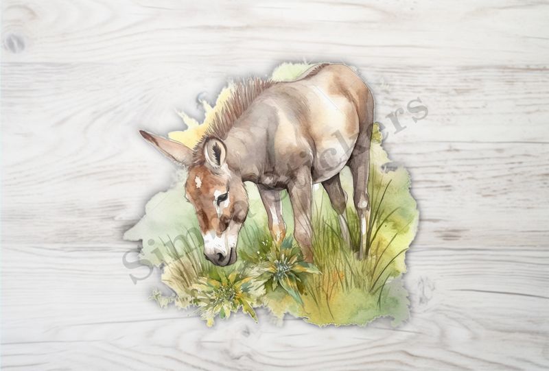 Donkey eating grass, watercolour
