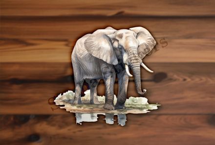 Elephant  by a pond in the Savanna