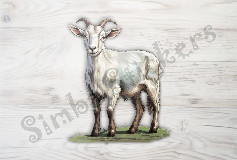 White goat look standing on green patch