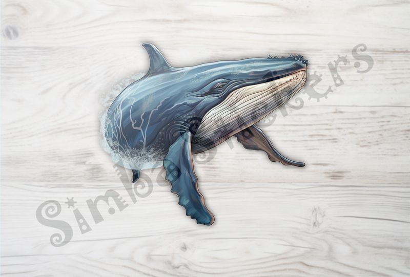 Whale turning in the water