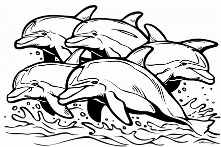 Colouring pages, bundle of dolphins, 25 images 2