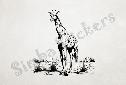 Giraffe facing frontwards in shrubs, outline art