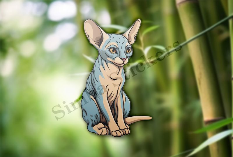 Sphynx cat sitting
