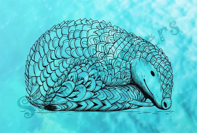 Pangolin sleeping, eyes open, outline art