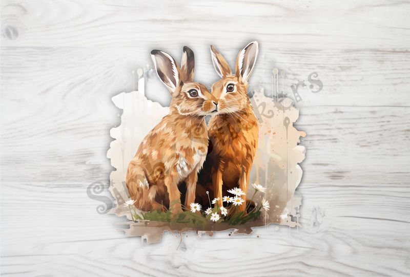 Hares nose-to-nose in lily flowers