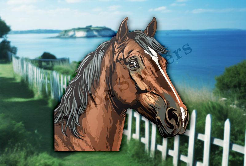 Brown horse , side glance, nd2qsc