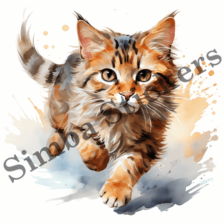 Cats running image set, 10 images