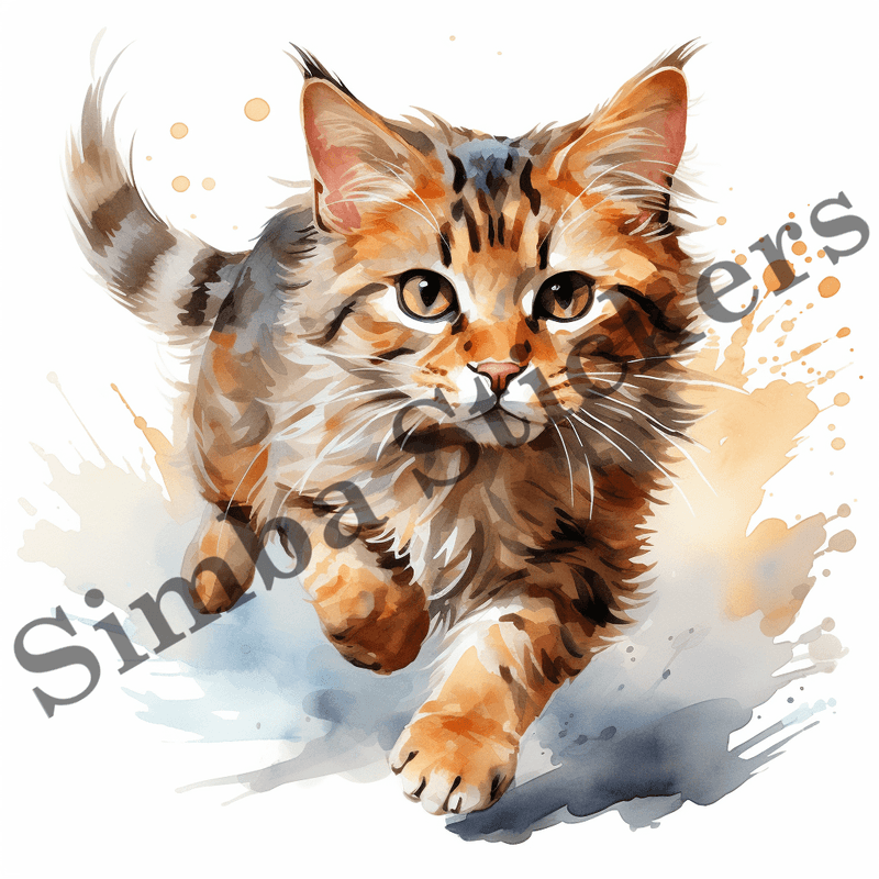 Cats running image set, 10 images