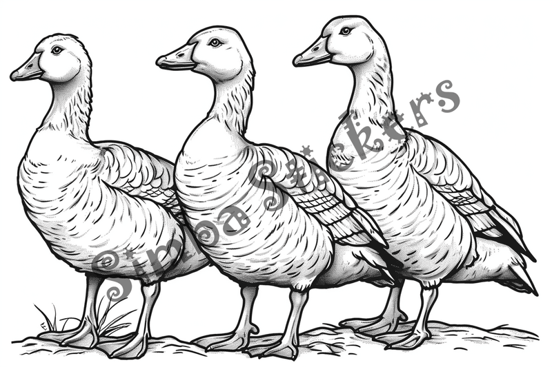 Colouring pages, bundle of geese, 25 images