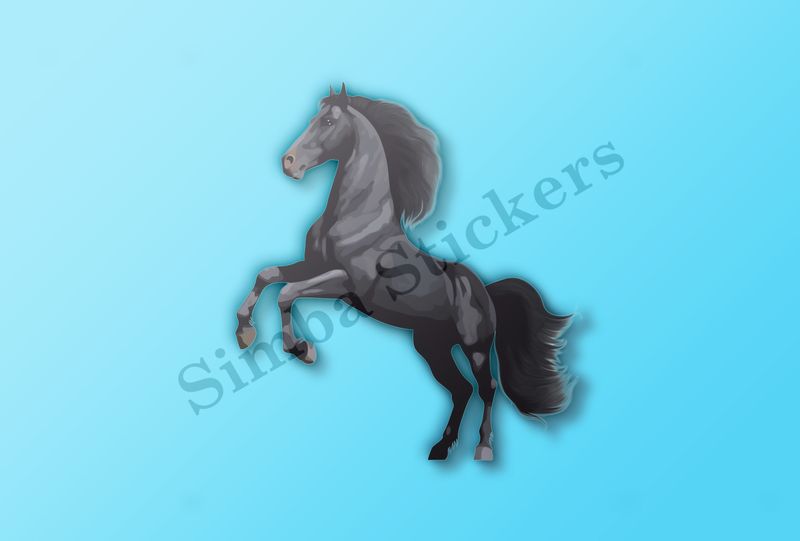 Black horse rearing