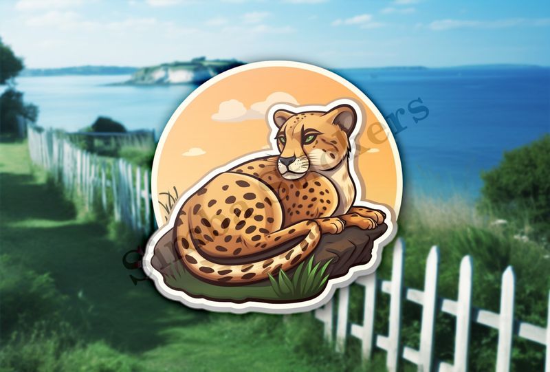Young cheetah on a rock
