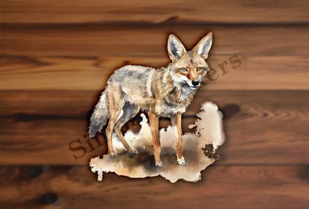 Jackal, watercolour
