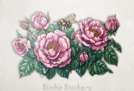 Bee on pink rose flowers, watercolour