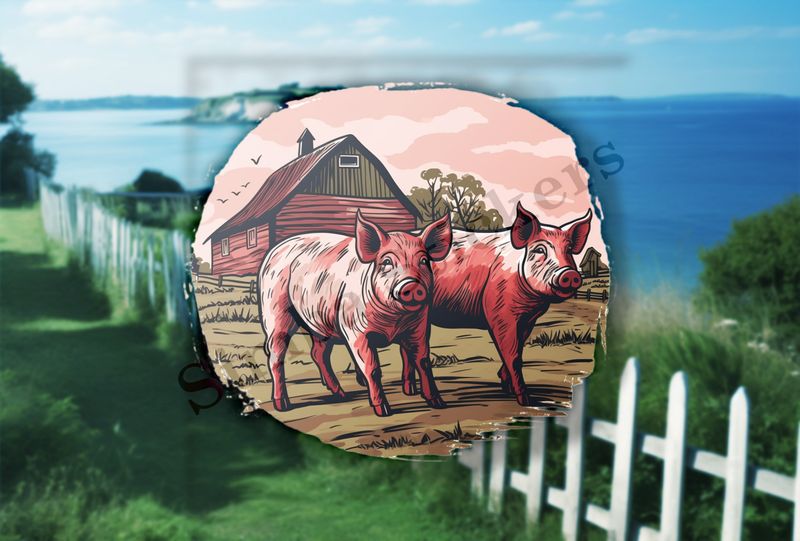Two pigs on a farm