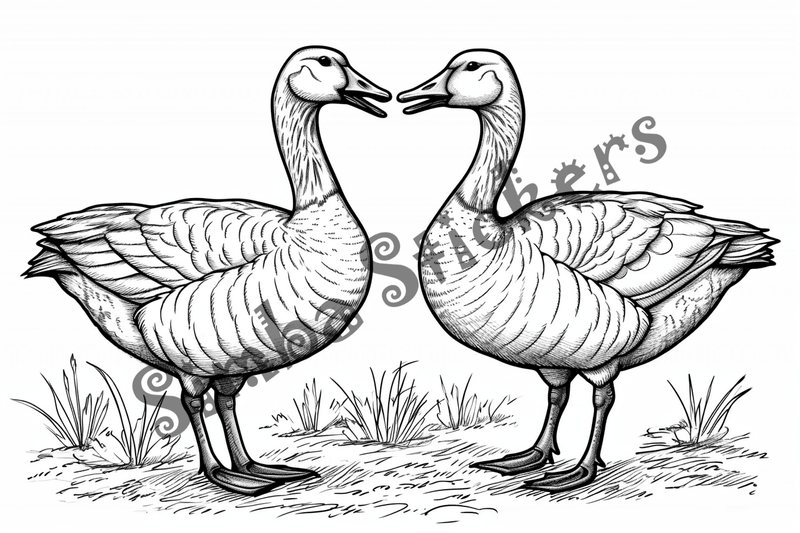 Colouring pages, bundle of geese, 25 images