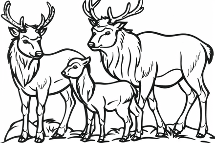 Colouring pages, bundle of singular elk calves or with calves, 10 images