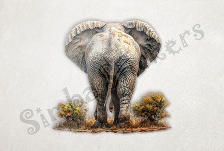 Elephant walking, tail slightly to the left, from behind