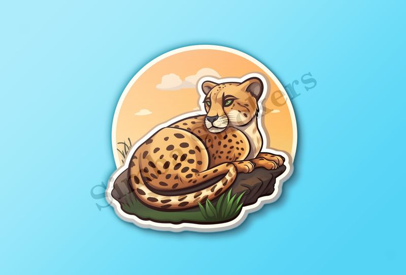 Young cheetah on a rock