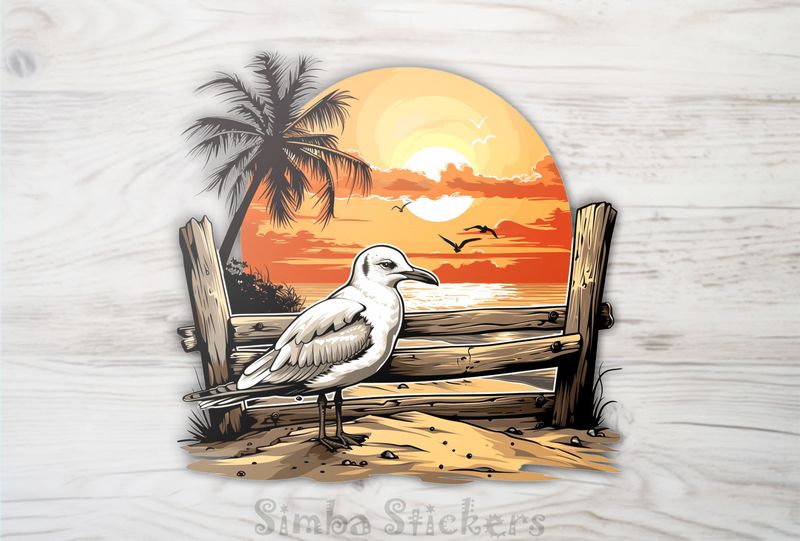 Seagull on sand at sunset, j5lguj