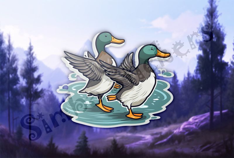 Duck couple flapping wings in shallow water