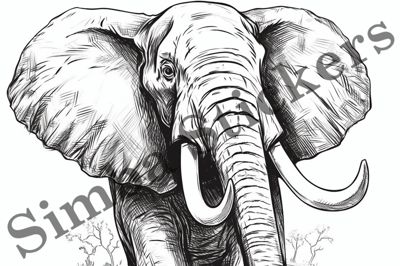Colouring pages, Bundle of elephants, 10 images