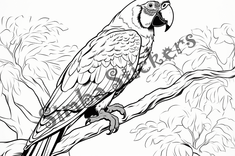 Colouring pages, bundle of parrots, 25 images