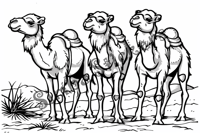 Colouring pages, bundle of Sahara Desert landscape with camels and dromedars, 10 images