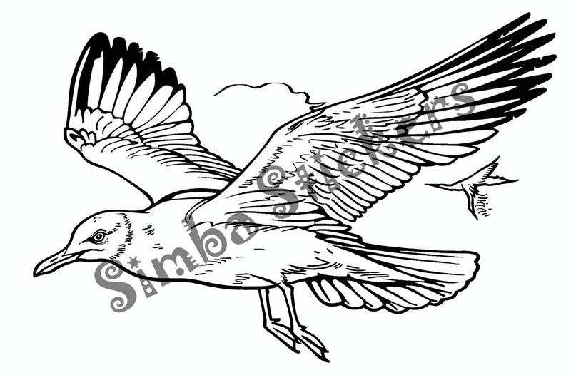Colouring pages, bundle of seagulls, 50 images
