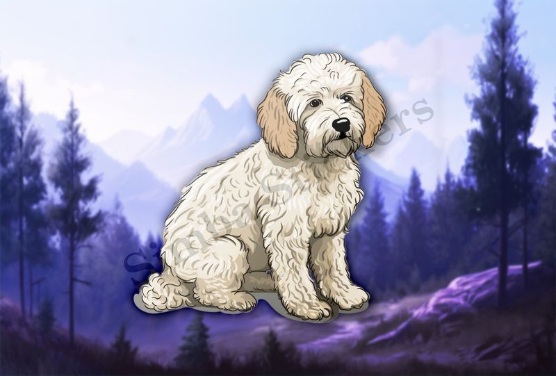 White Cookapoo dog