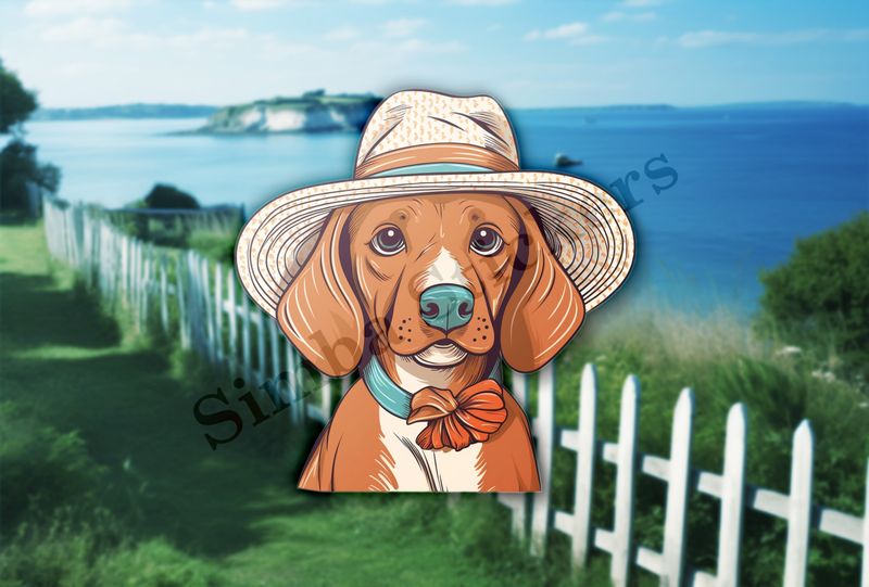 Dog in a hat
