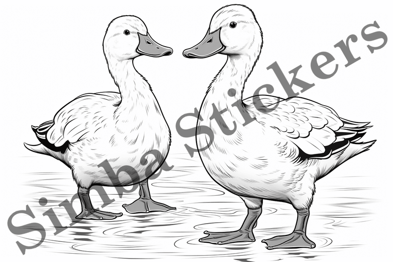 Colouring pages, Bundle of ducks in love, 10 images