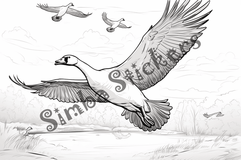 Colouring pages, bundle of geese flying, 10 images
