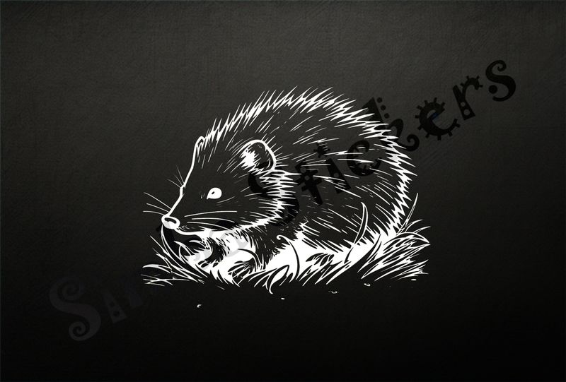 Porcupine in the grass, outline art