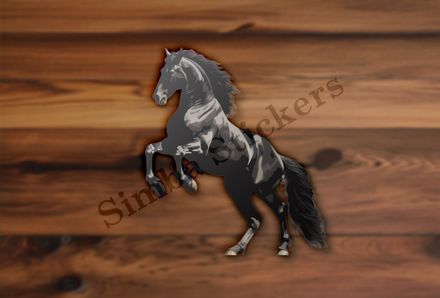 Black horse rearing