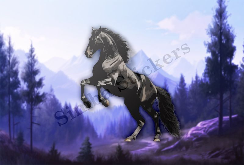 Black horse rearing