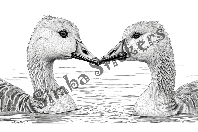 Colouring pages, bundle of geese in love, 10 images