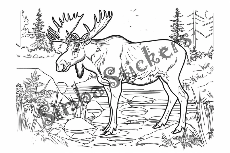 Colouring pages, Bundle of moose, 50 images