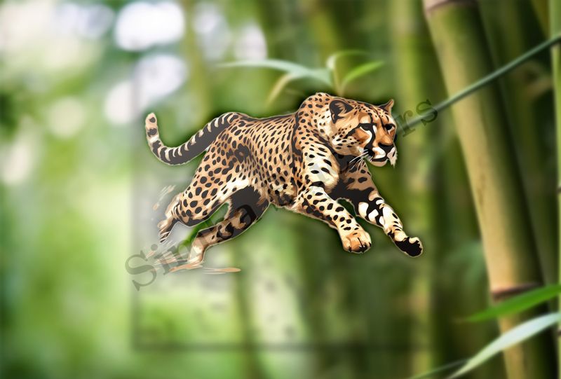 Cheetah running, cfct36