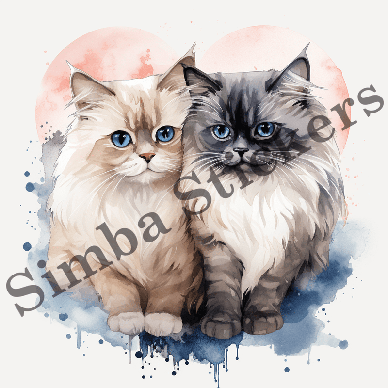 Himalayan cats in love, image set, 10 images