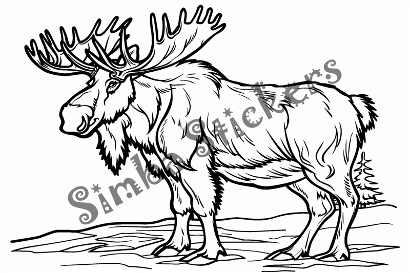 Colouring pages, Bundle of moose, 50 images