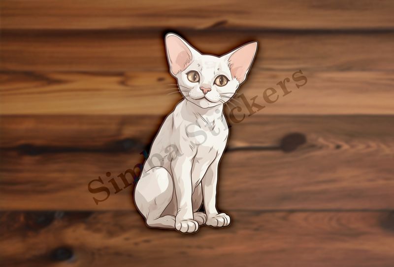 Devon Rex cat with head tilted